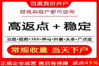 优化SEM竞价策略：成功案例剖析